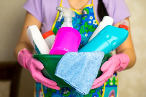 Aperfield carpet cleaners providing careful professional carpet care