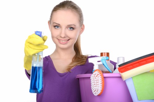 Removing pet stains and smells from upholstery in Aperfield