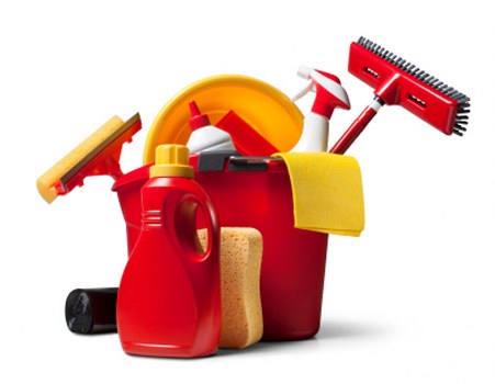 Deep carpet cleaning restoring freshness in a busy home