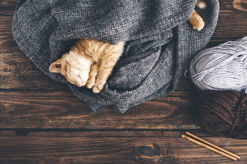 deep cleaning Regular cleaning